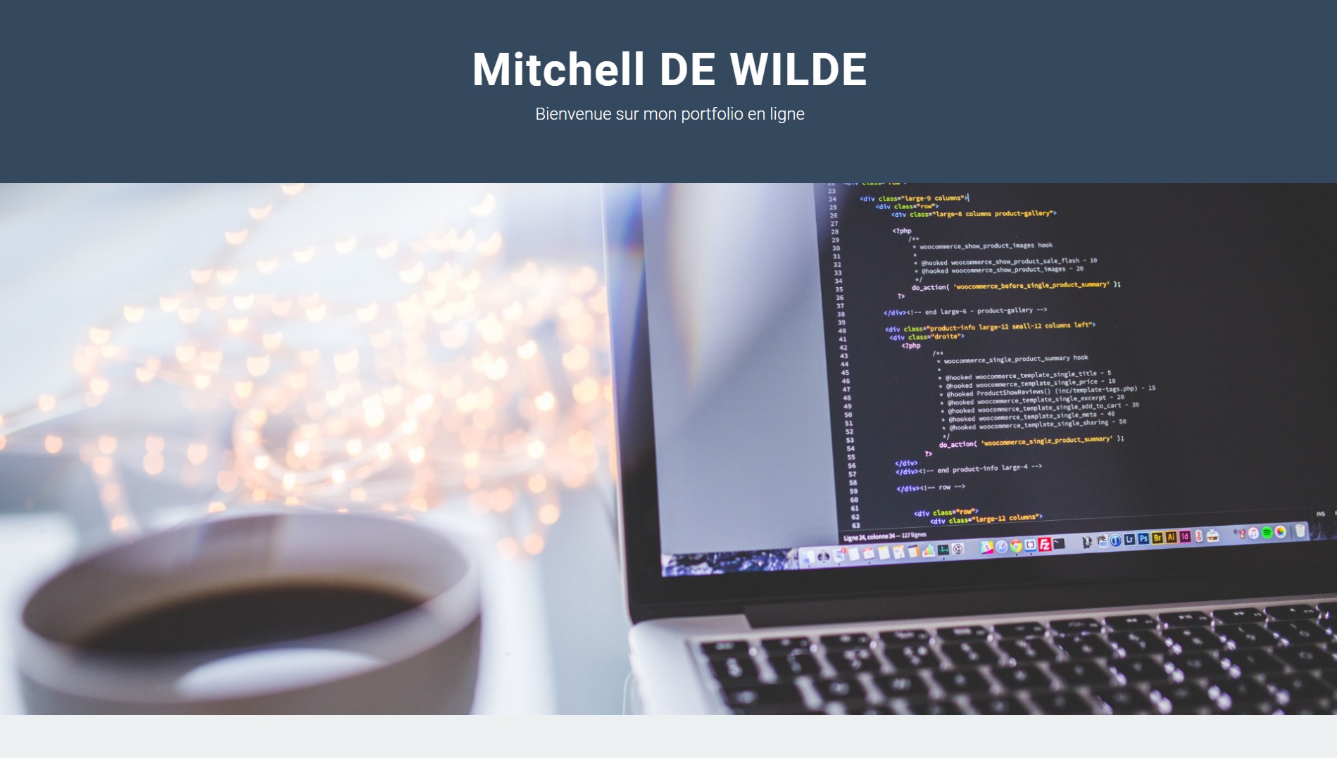 MitchellDEWILDE.com